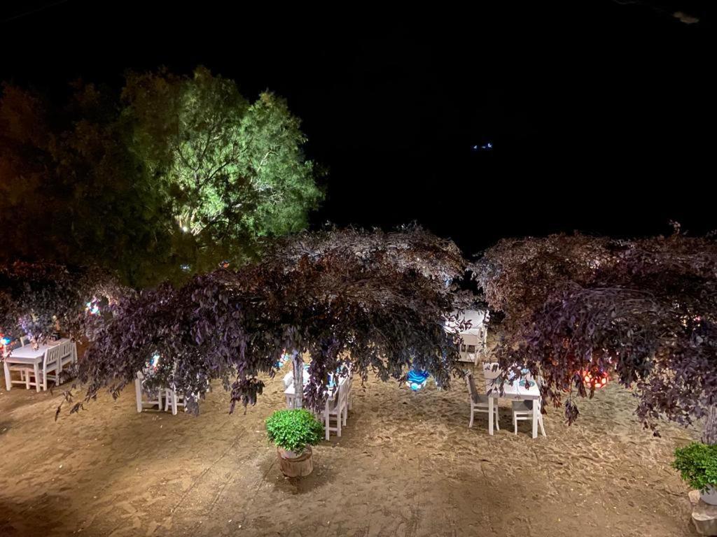 Arriba Pension&Restaurant Gümüşlük Exterior foto